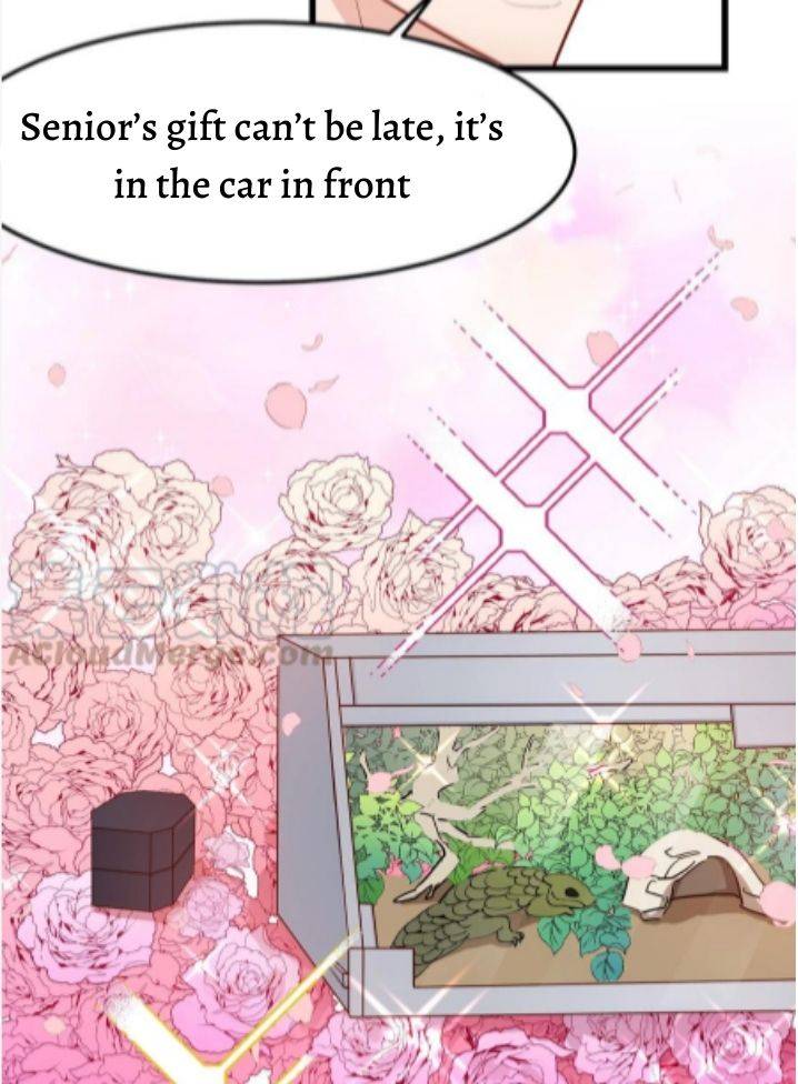 Page 17 of Chapter 43