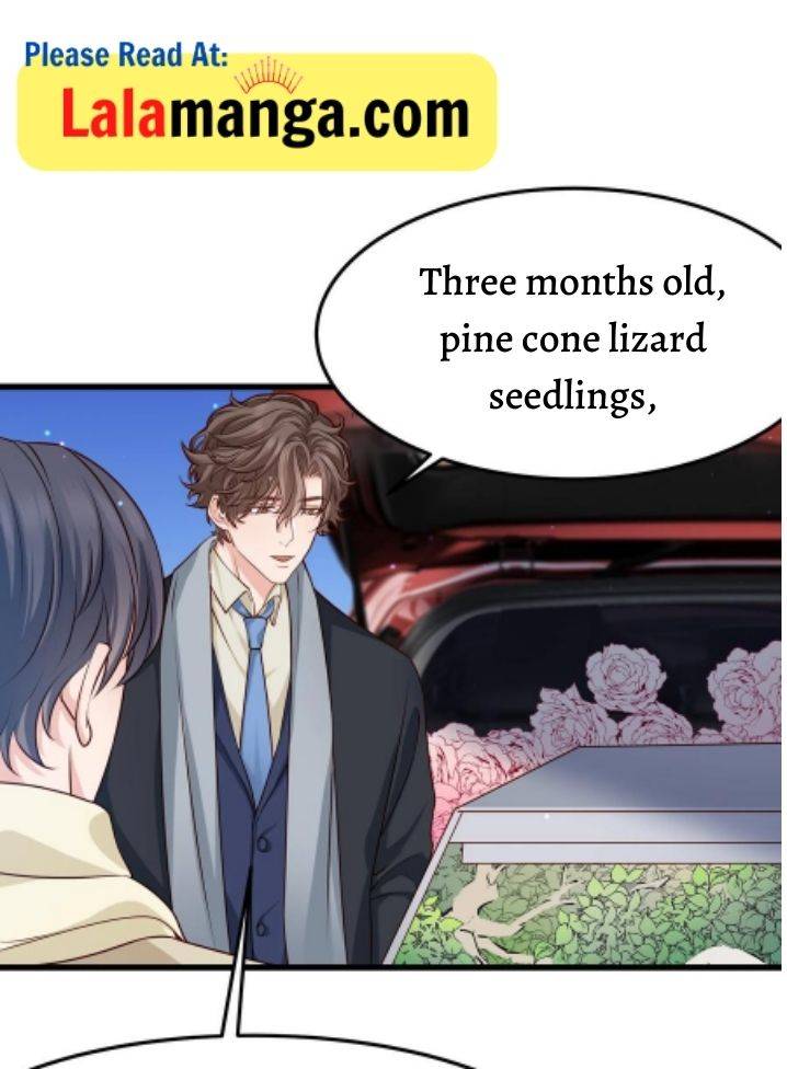 Page 19 of Chapter 43