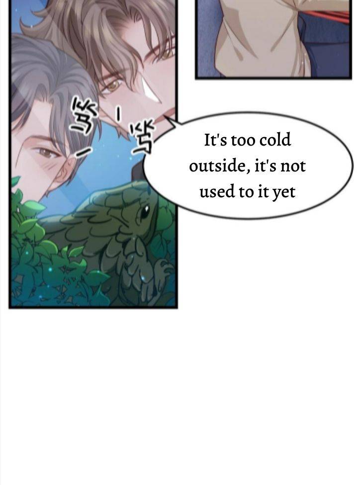 Page 22 of Chapter 43
