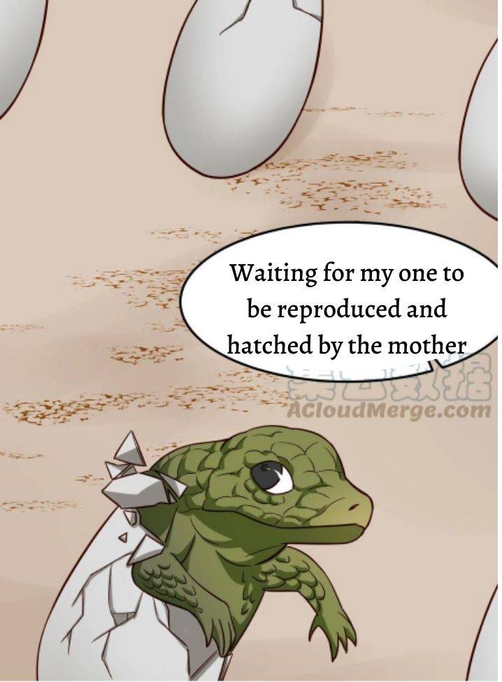 Page 31 of Chapter 43