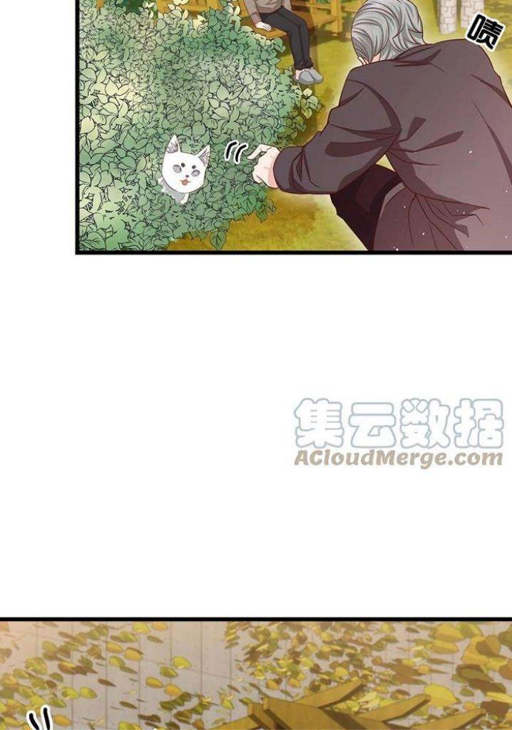 Page 43 of Chapter 51