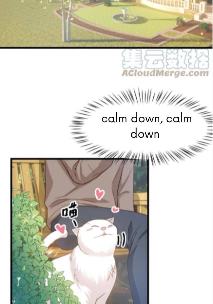 Page 4 of Chapter 52