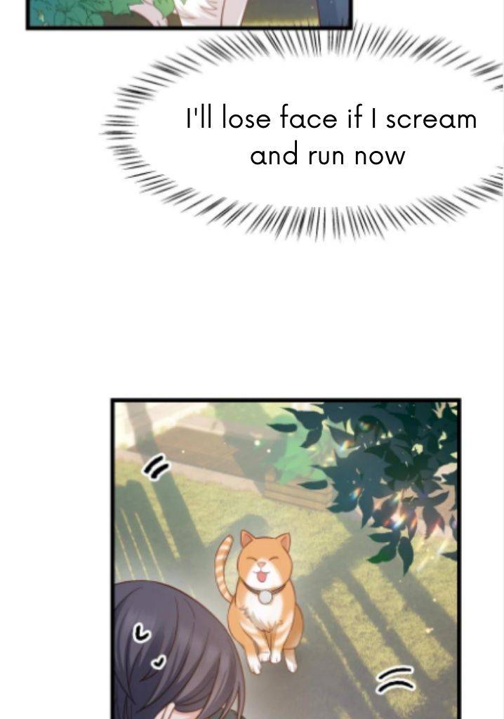 Page 5 of Chapter 52