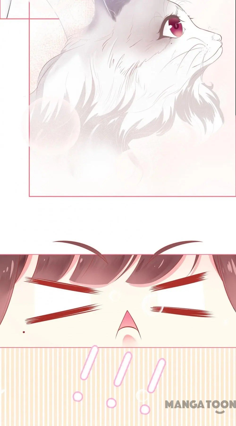 Page 19 of Chapter 17