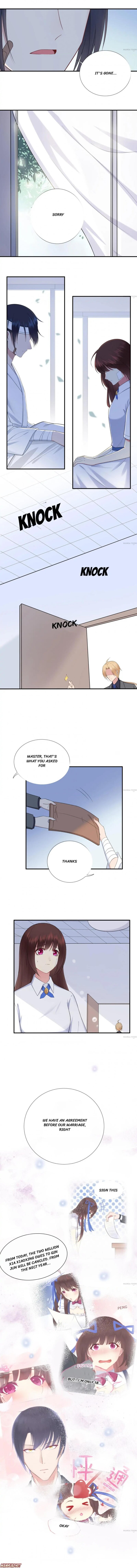 Page 5 of Chapter 41