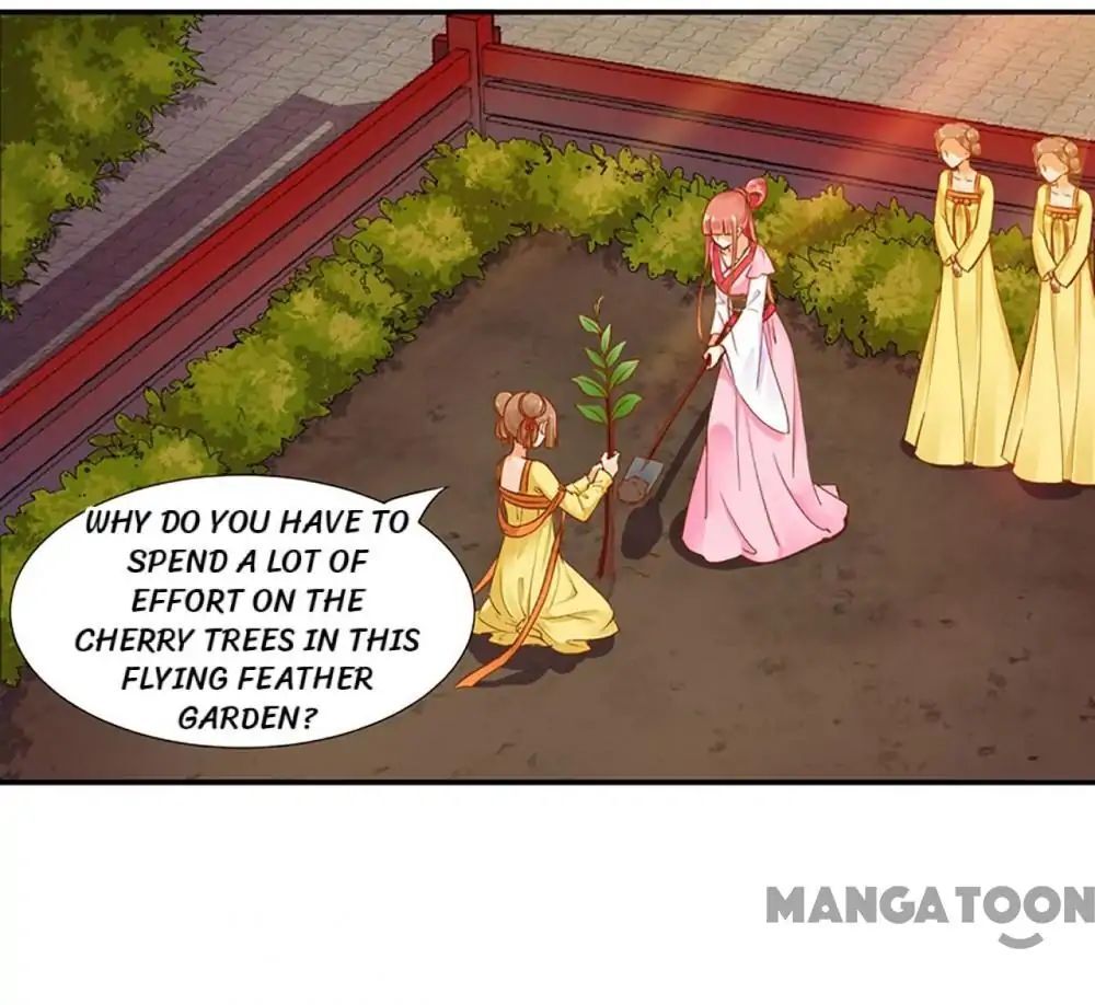 Page 13 of Chapter 11