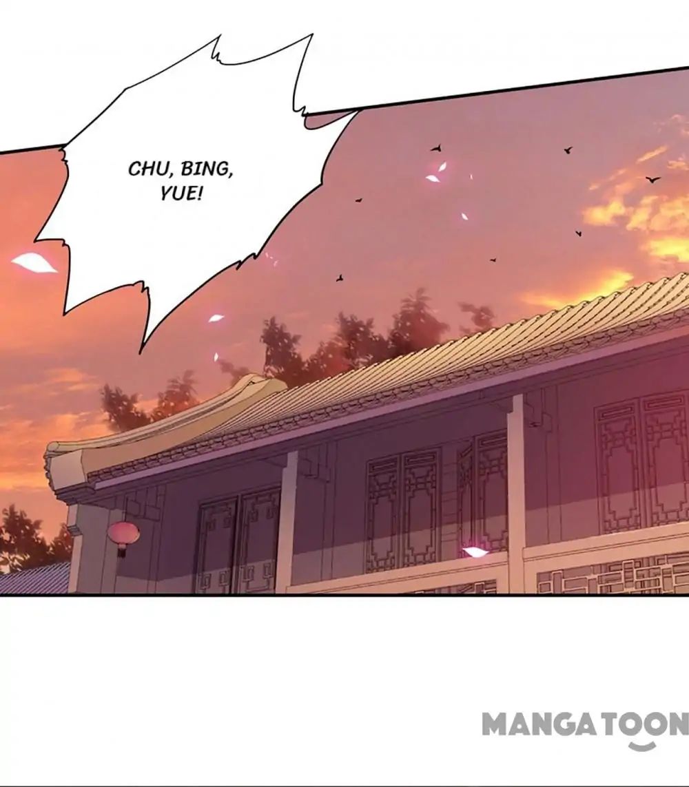 Page 23 of Chapter 11