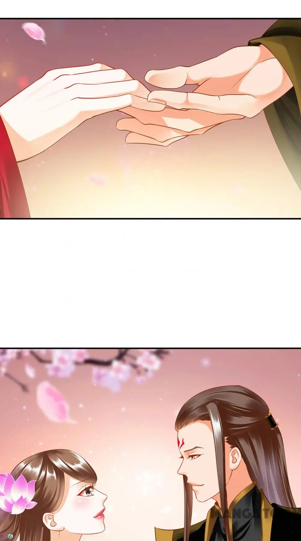 Page 41 of Chapter 163
