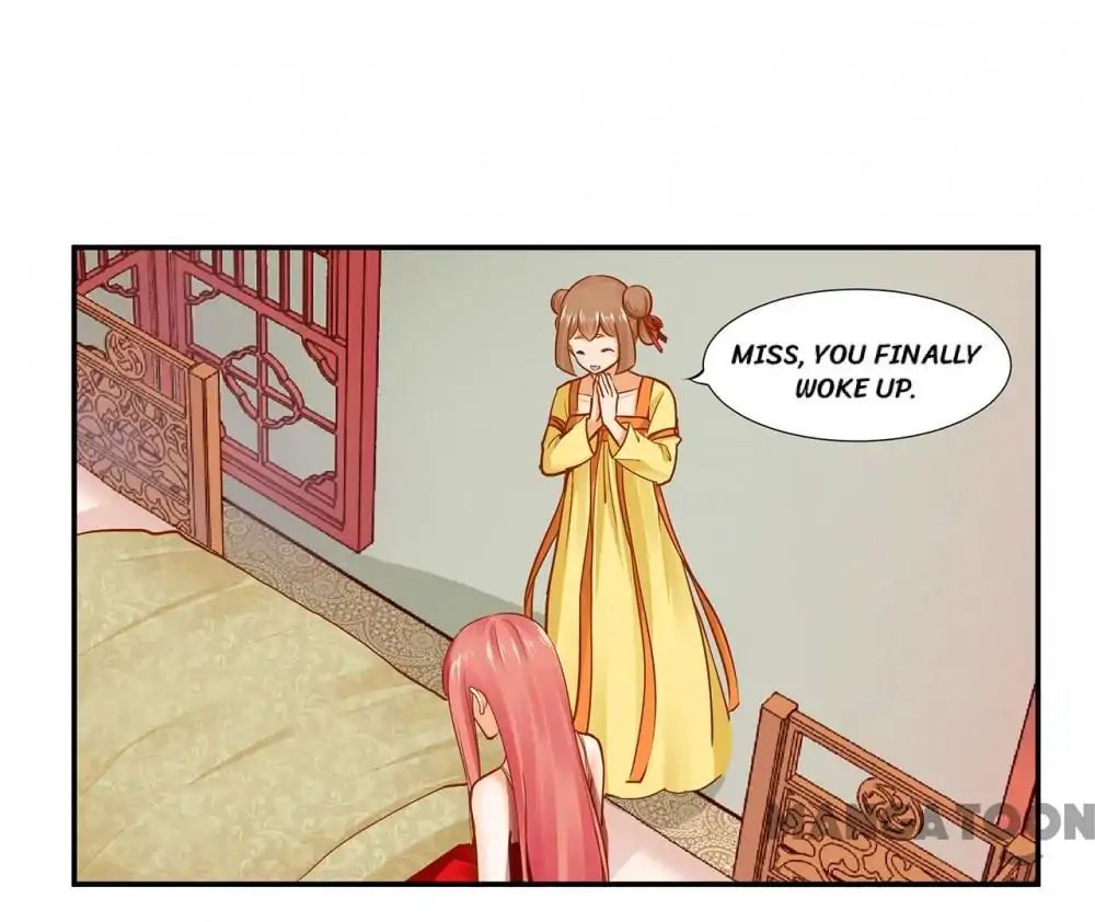 Page 26 of Chapter 17