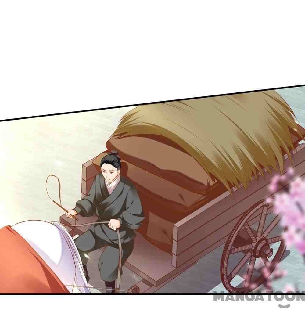 Page 13 of Chapter 186