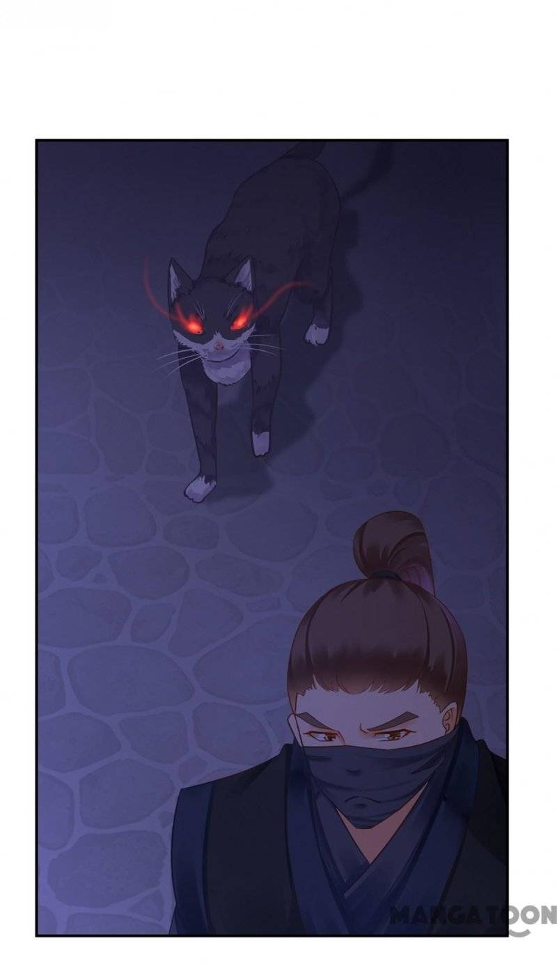 Page 27 of Chapter 250