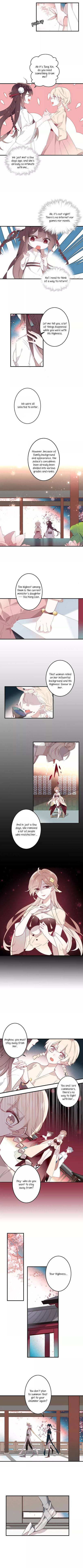 Page 2 of Chapter 3
