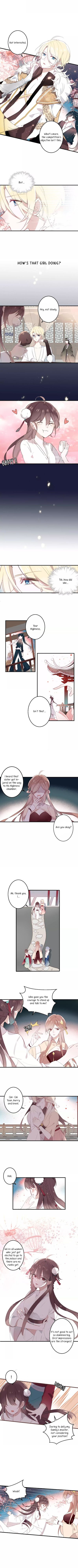 Page 3 of Chapter 3