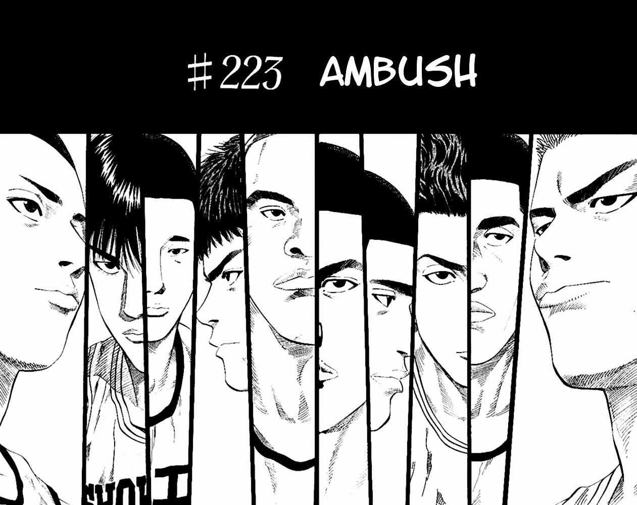 Page 2 of Chapter 223