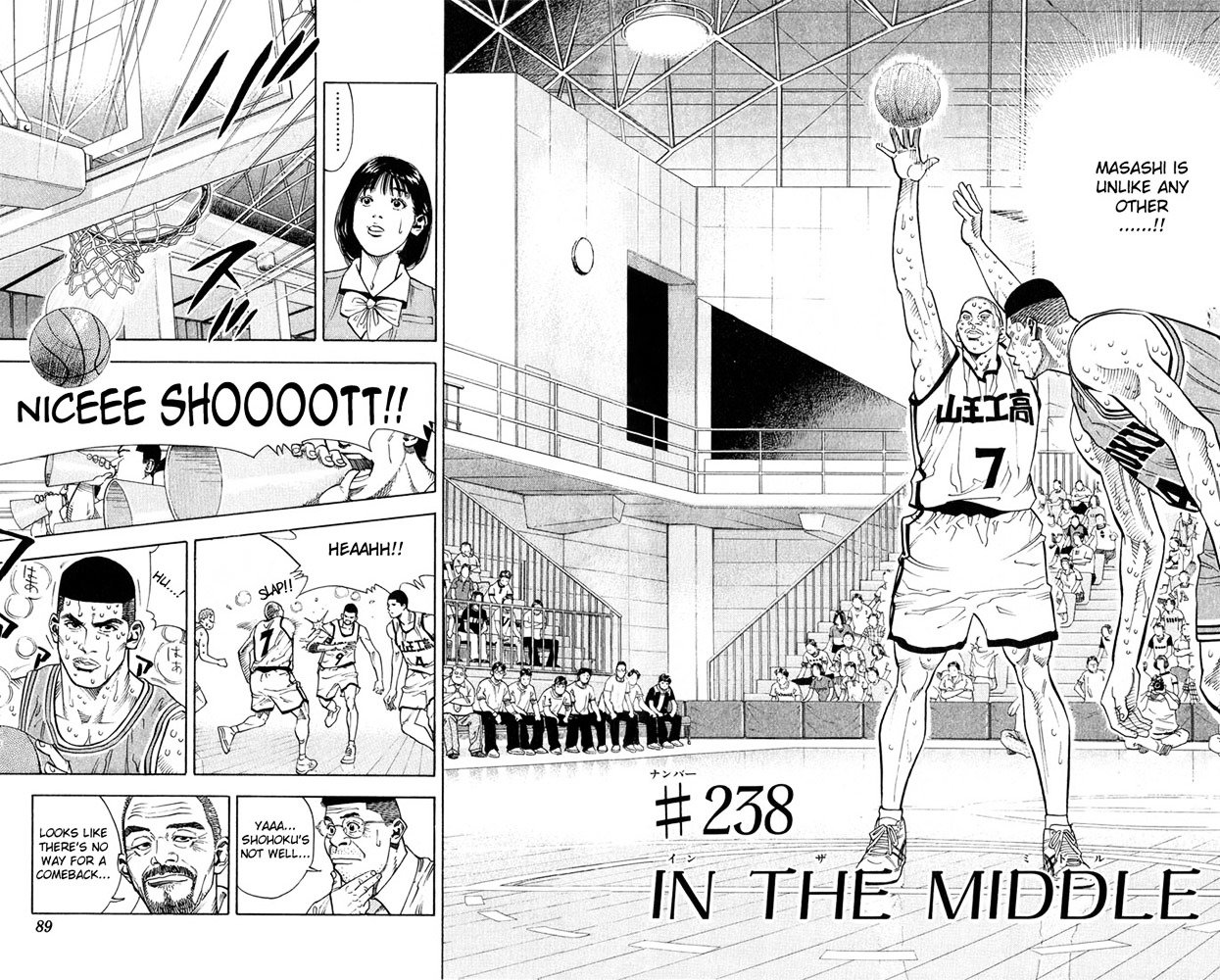 Page 2 of Chapter 238