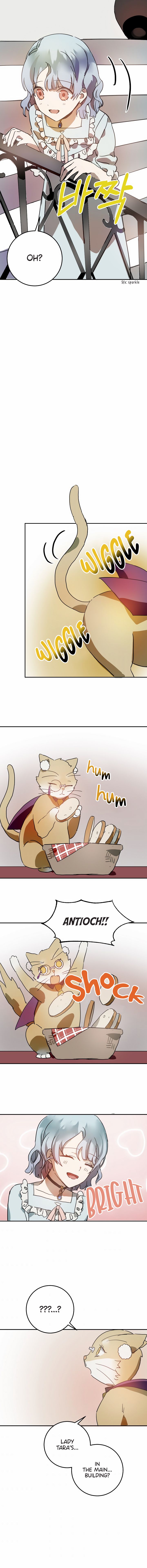 Page 10 of Chapter 17