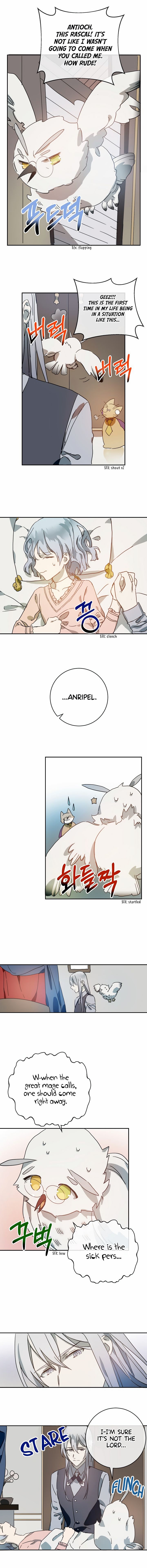 Page 4 of Chapter 19