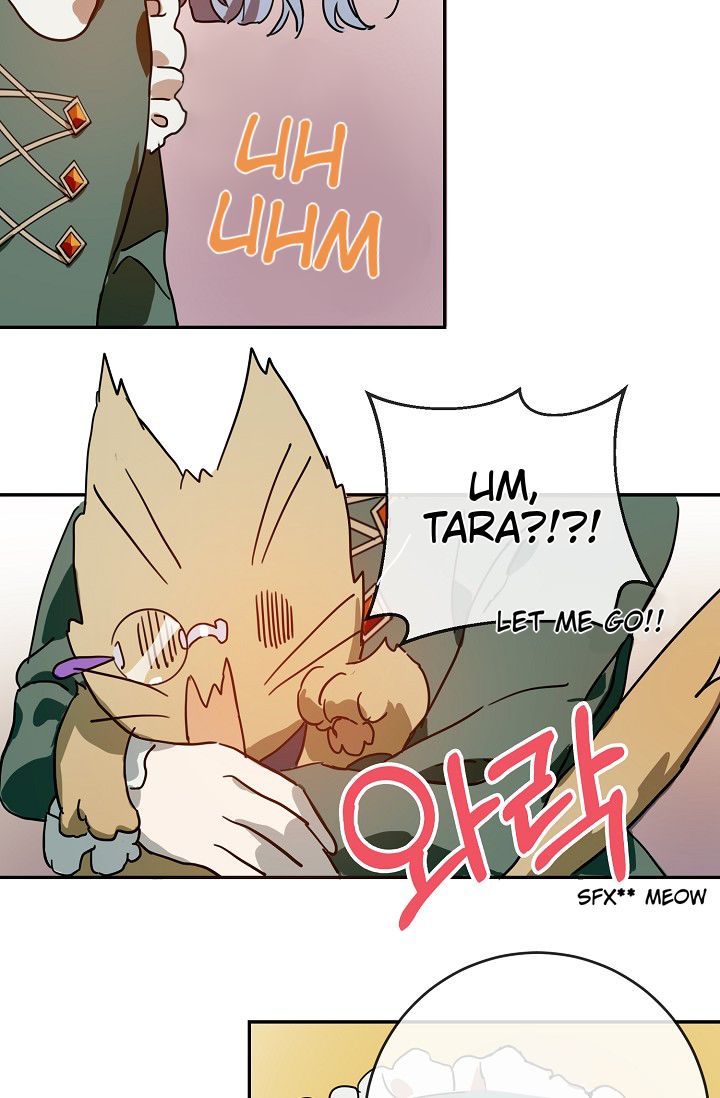 Page 24 of Chapter 21