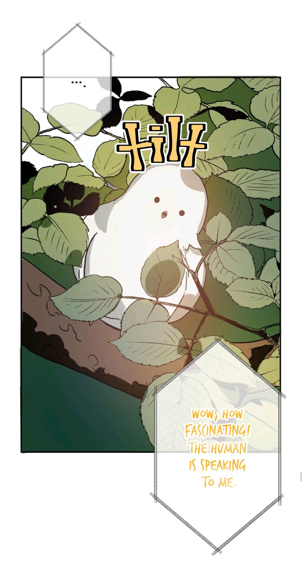 Page 15 of Chapter 23