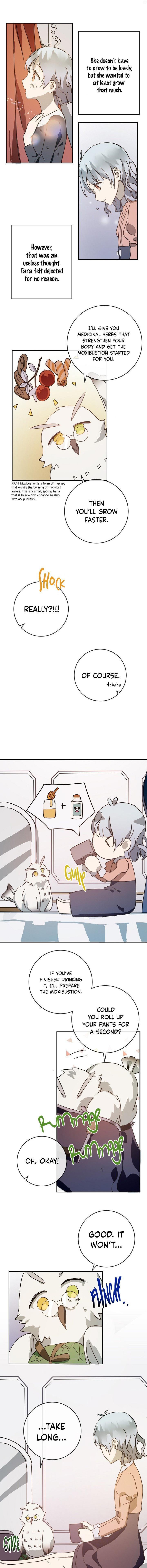 Page 8 of Chapter 28