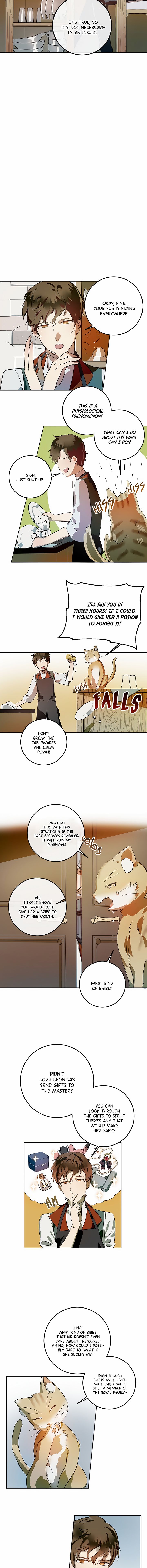 Page 5 of Chapter 6