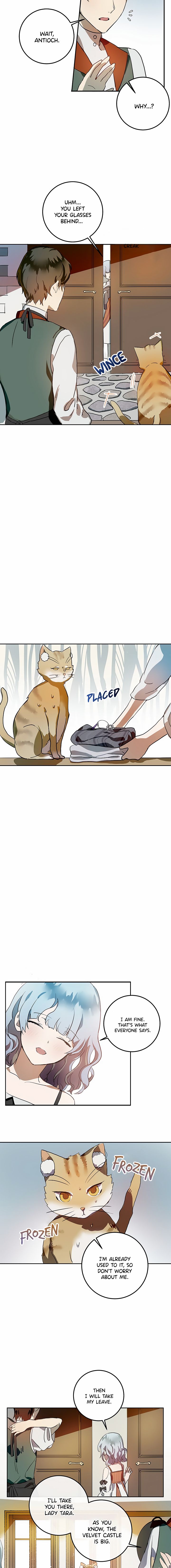 Page 6 of Chapter 6