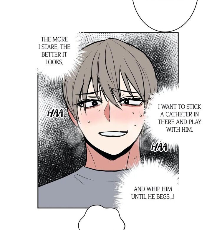 Page 12 of Chapter 17