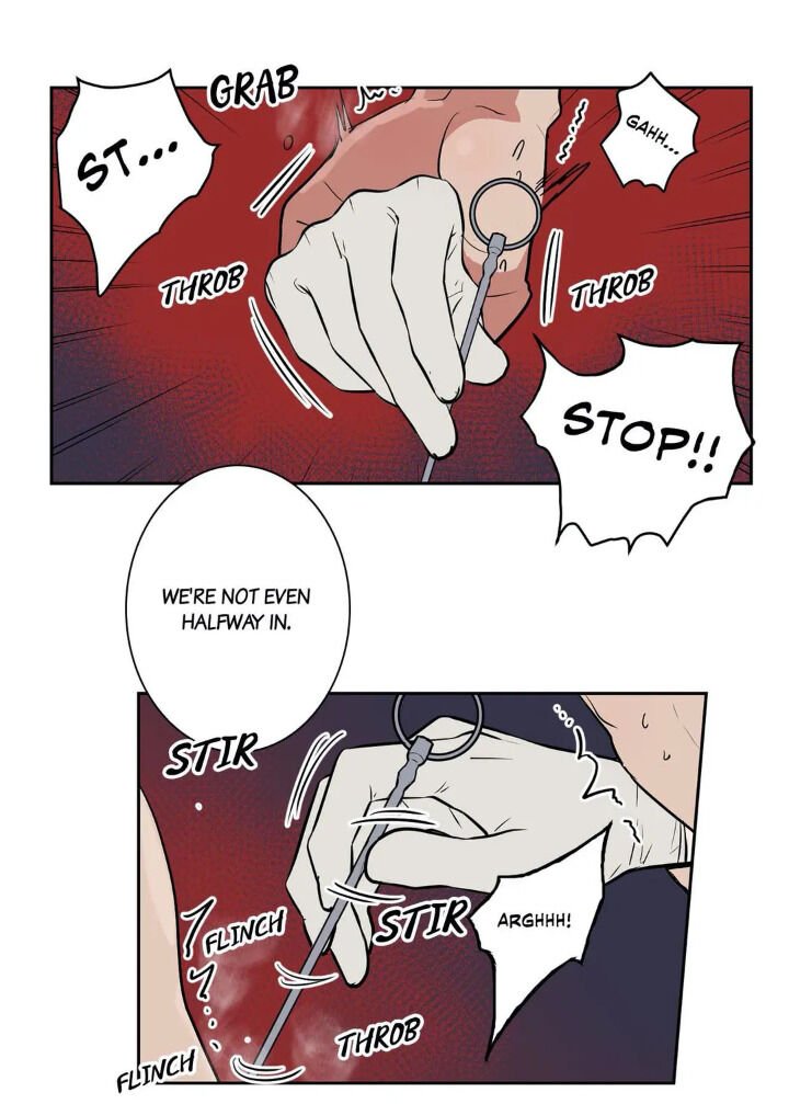 Page 17 of Chapter 20