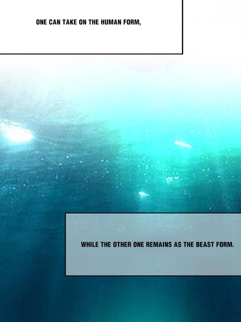 Page 48 of Chapter 110