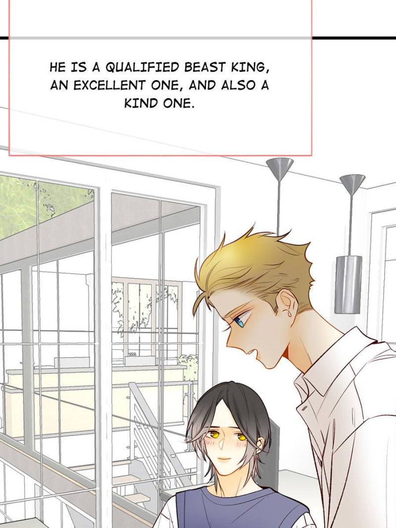 Page 13 of Chapter 117