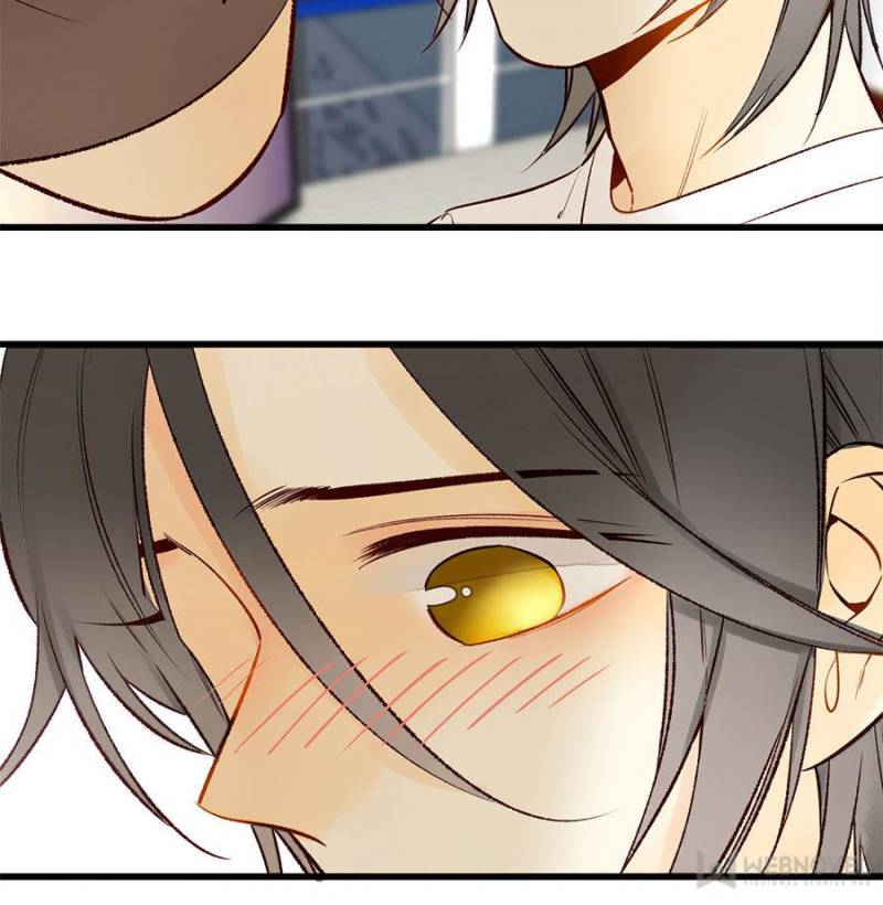 Page 20 of Chapter 117