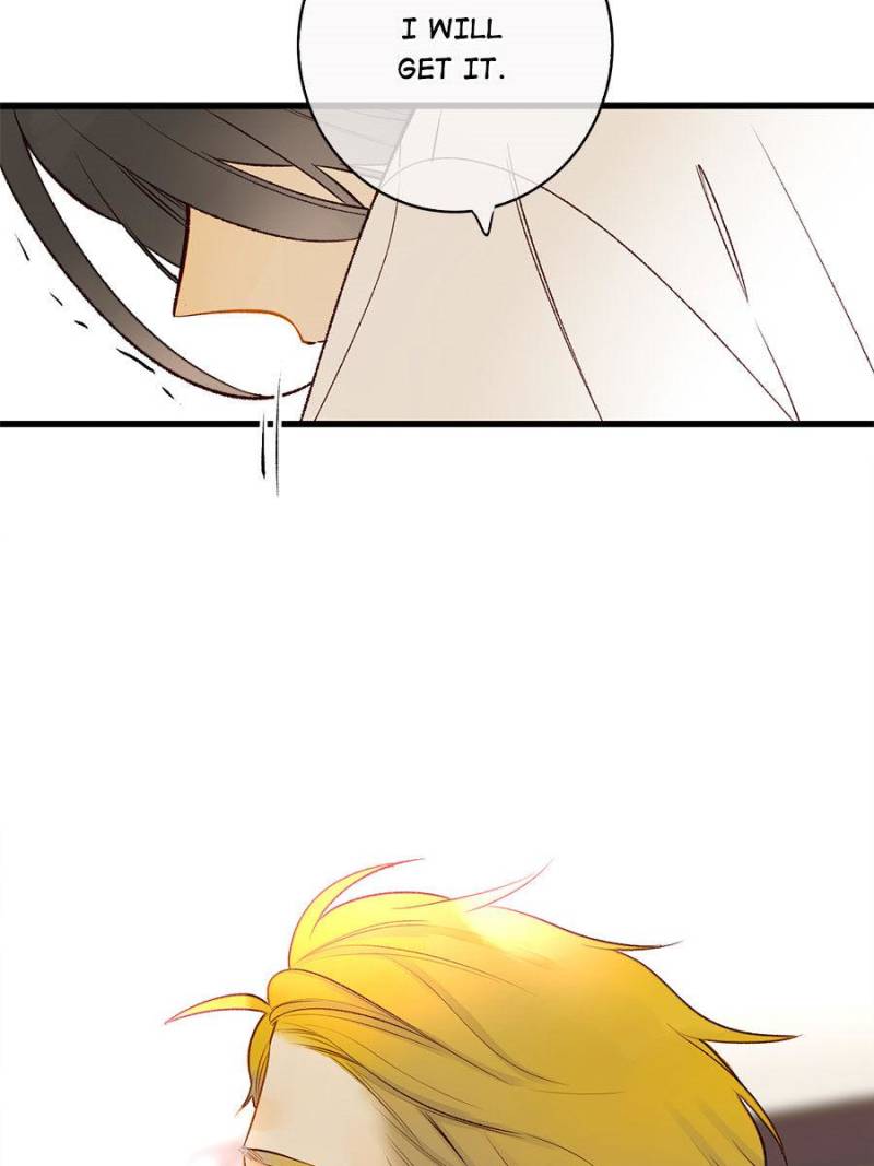Page 36 of Chapter 117