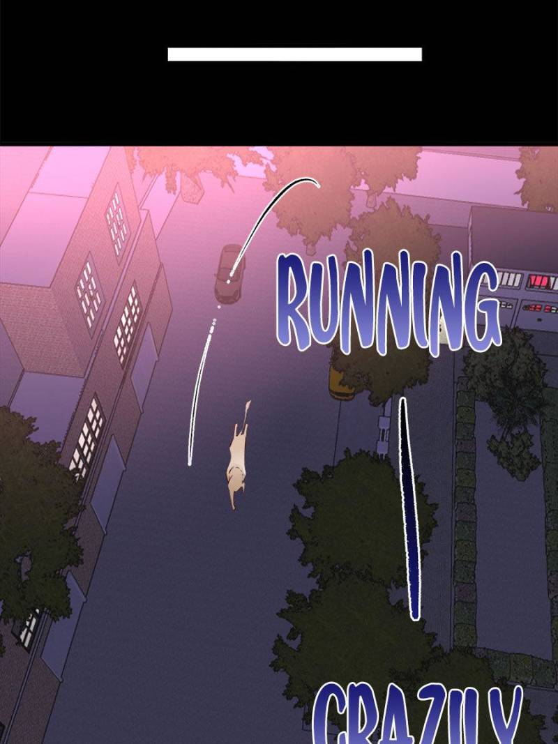 Page 42 of Chapter 125