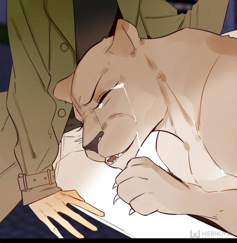 Page 49 of Chapter 125