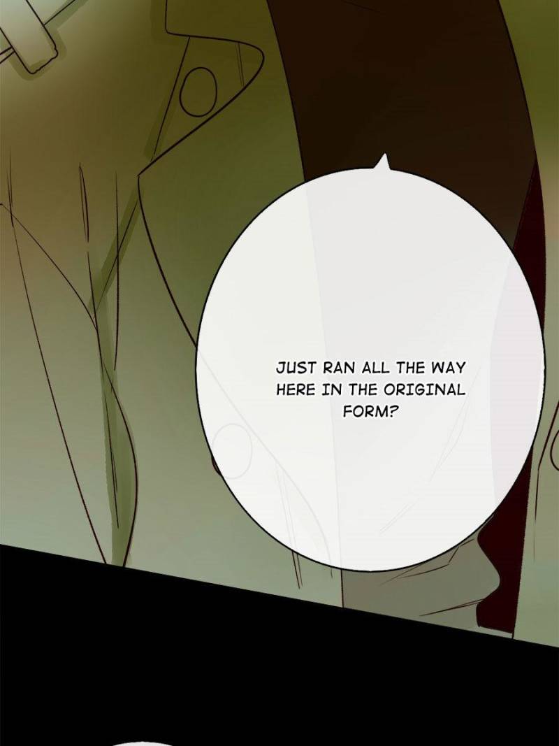 Page 29 of Chapter 126