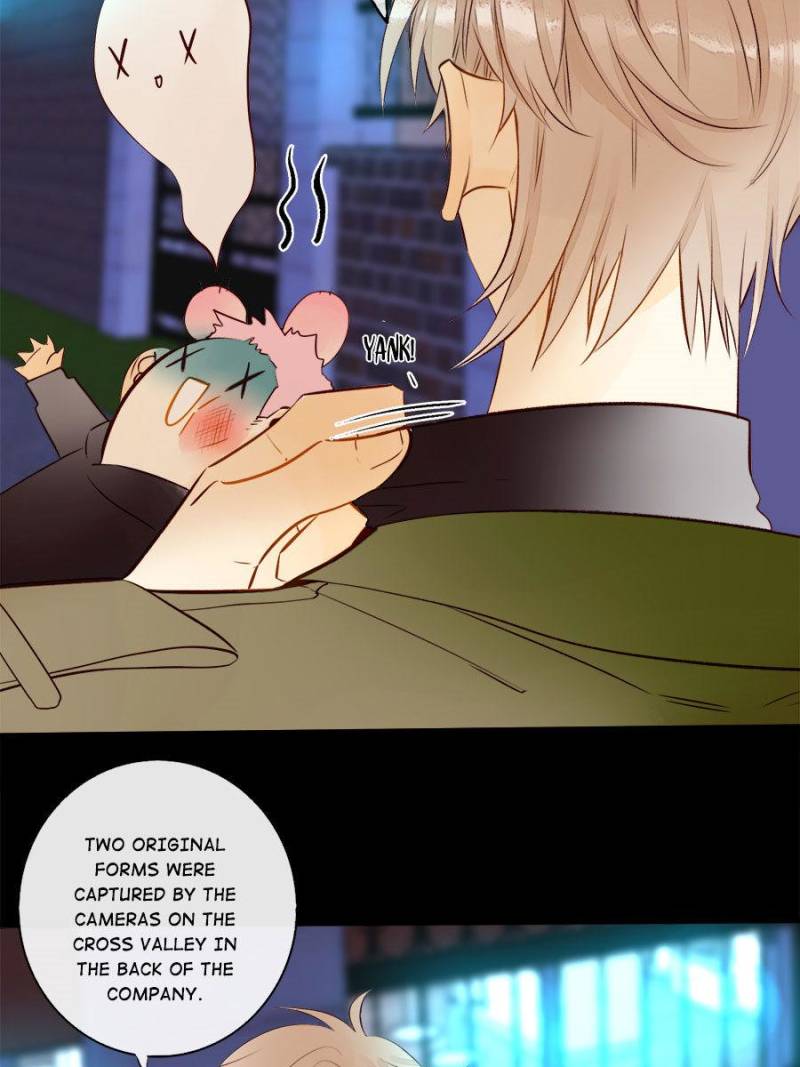 Page 48 of Chapter 126