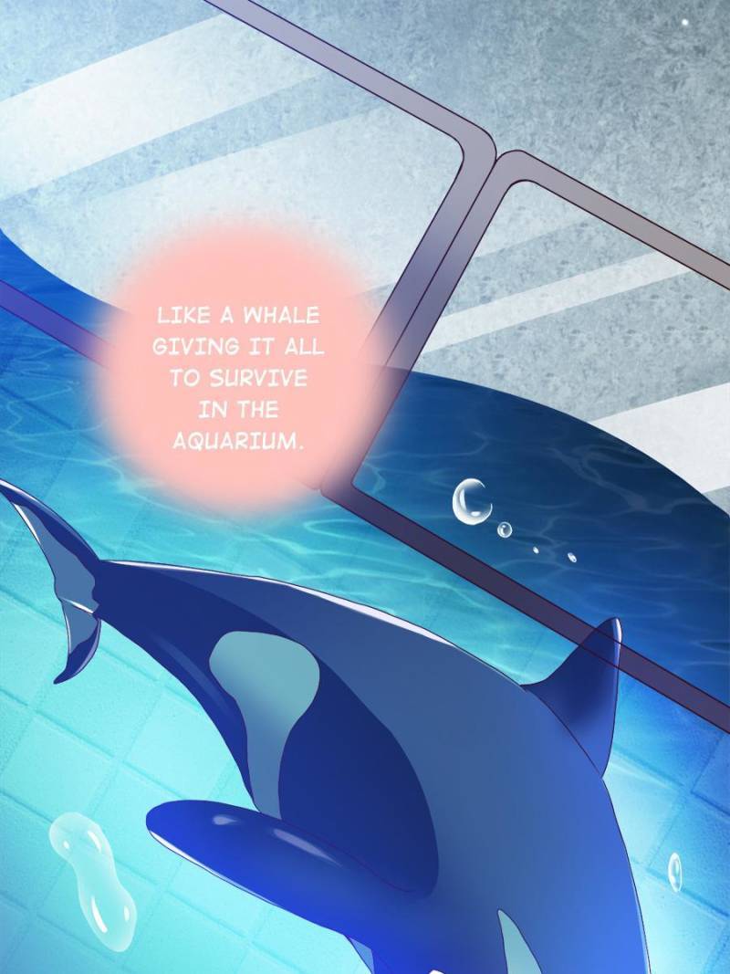 Page 52 of Chapter 141