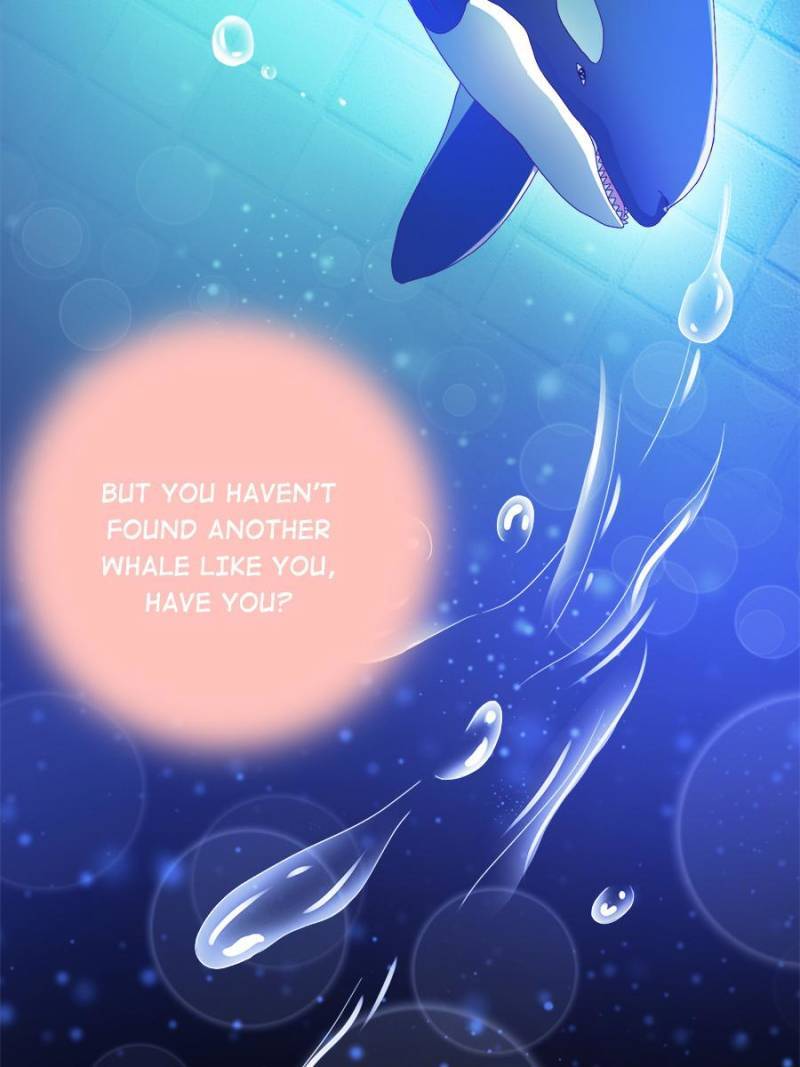Page 53 of Chapter 141