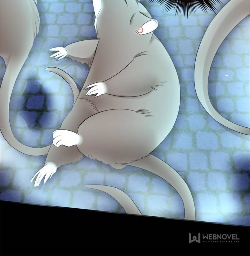 Page 48 of Chapter 169