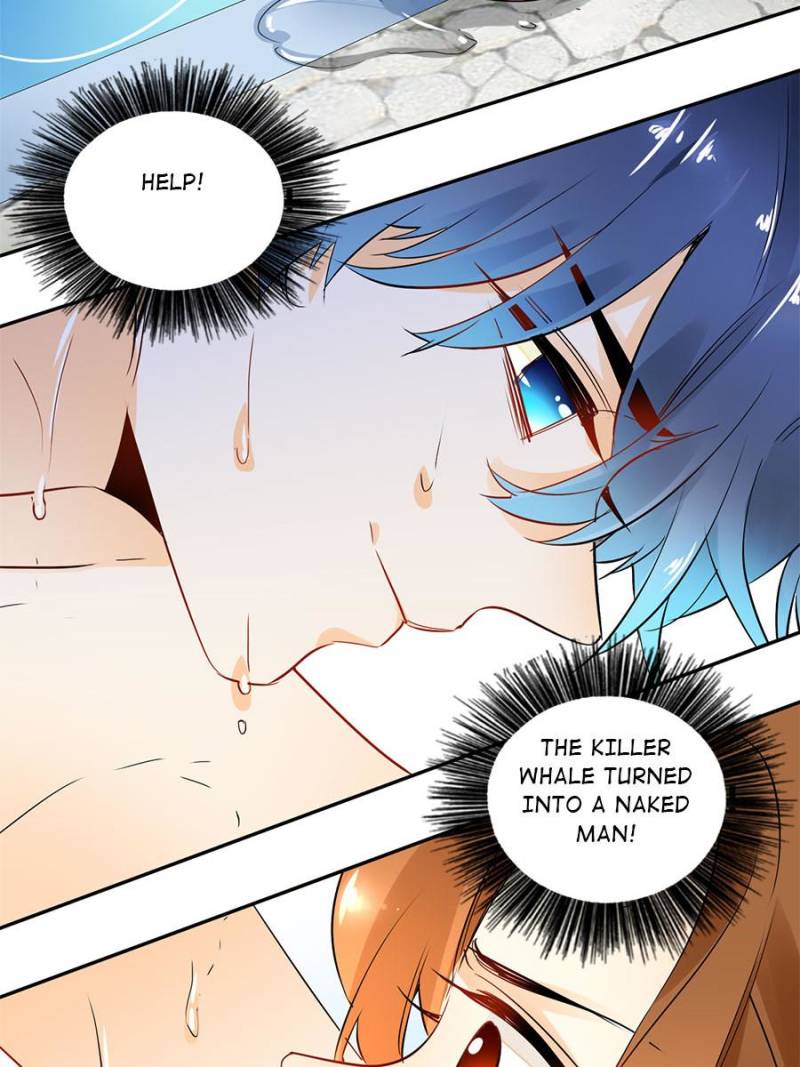 Page 5 of Chapter 17