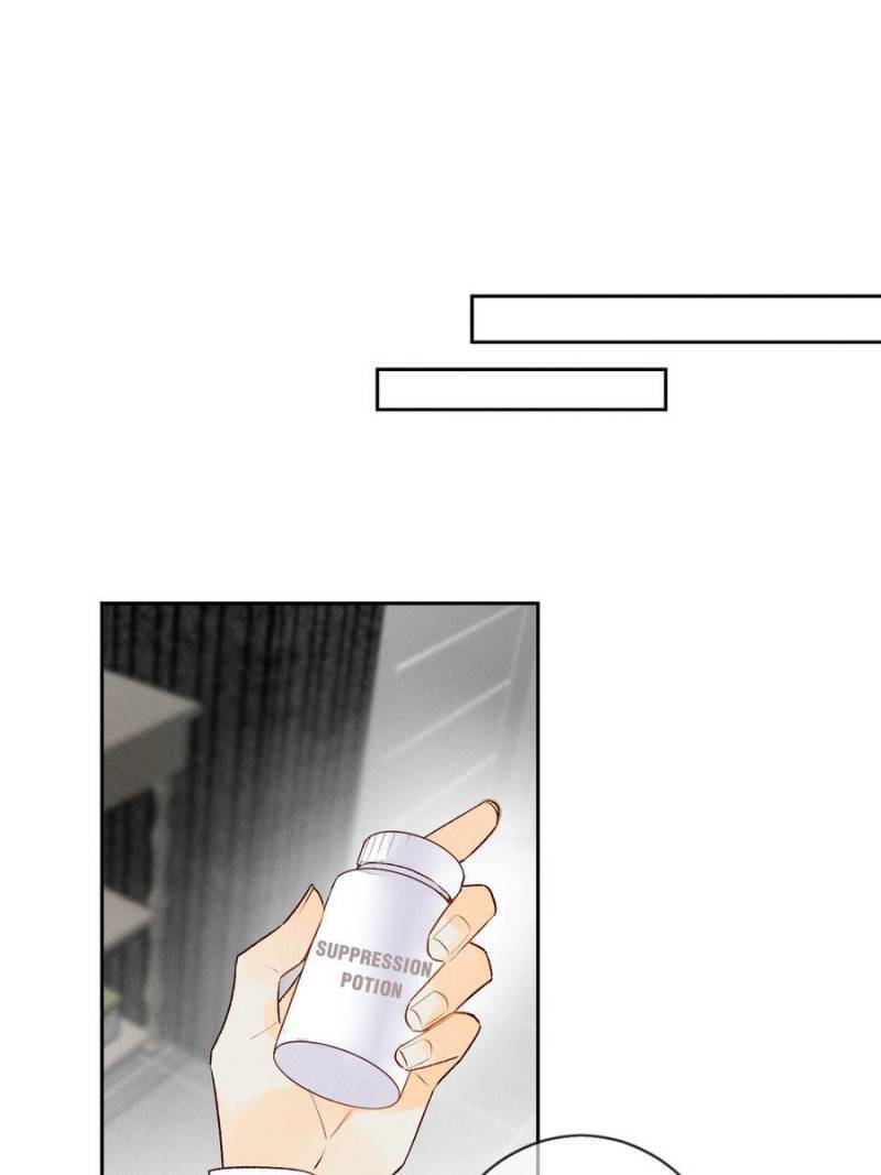 Page 31 of Chapter 205