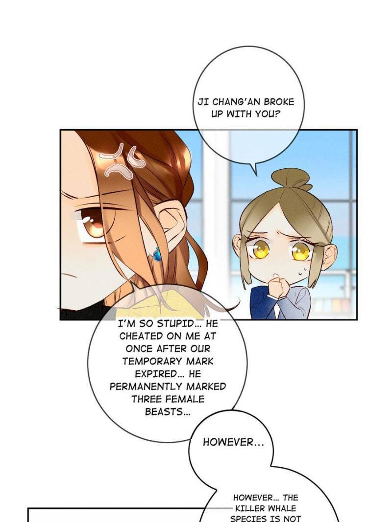 Page 40 of Chapter 205