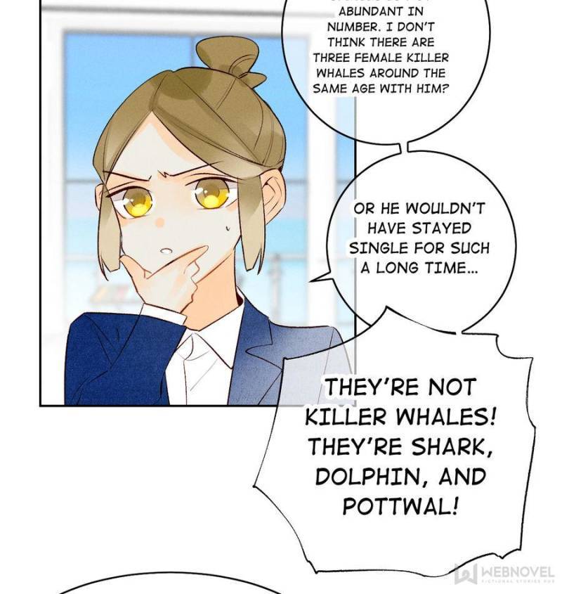 Page 41 of Chapter 205