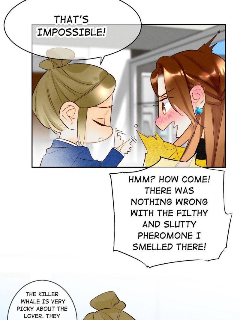 Page 42 of Chapter 205