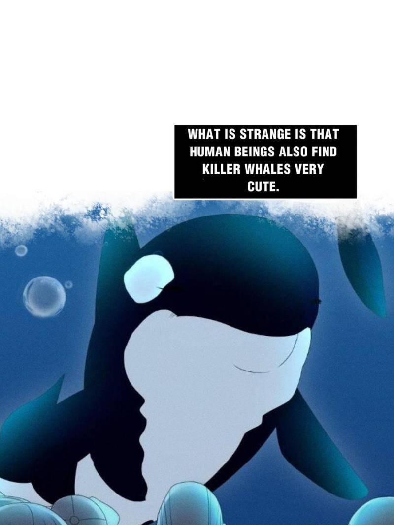 Page 47 of Chapter 205