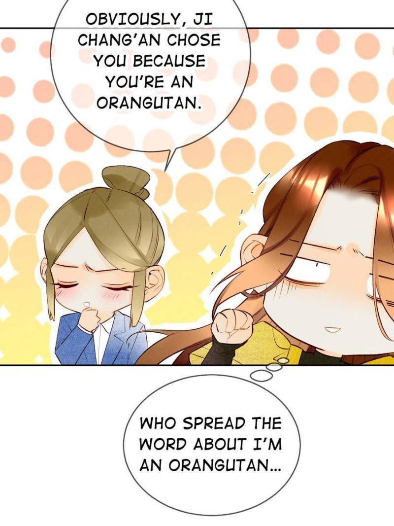 Page 49 of Chapter 205