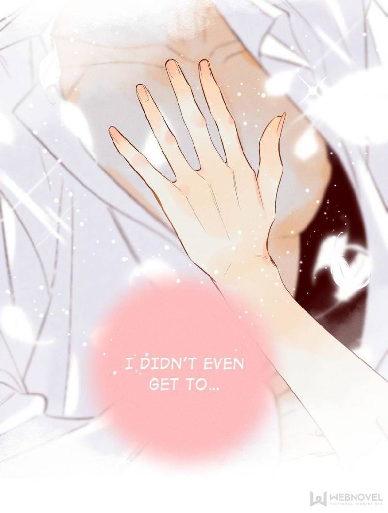 Page 42 of Chapter 207