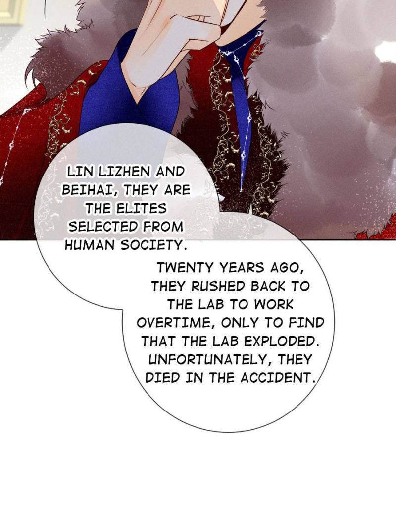 Page 17 of Chapter 215