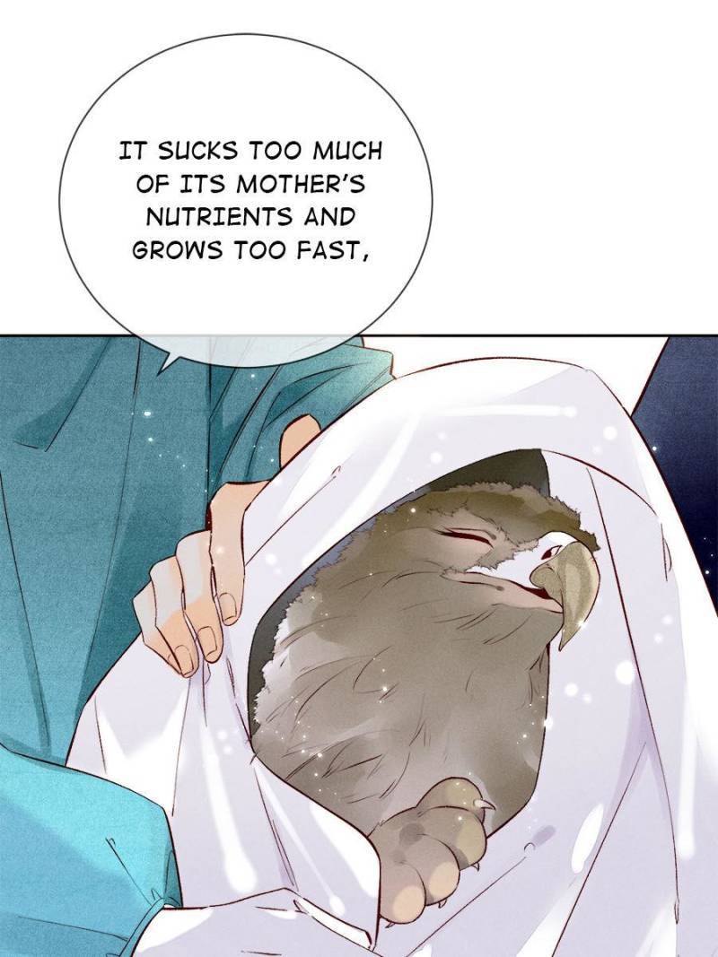 Page 19 of Chapter 216