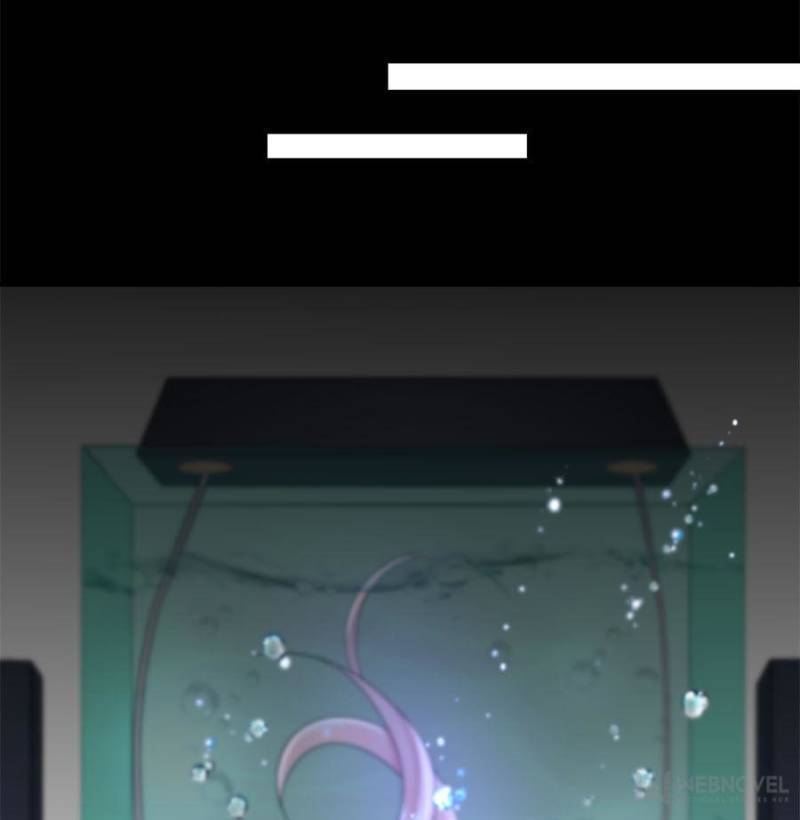 Page 15 of Chapter 217